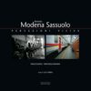 FERROVIA MODENA SASSUOLO - Percezioni Visive