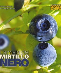 L'ARMATA DEL MIRTILLO NERO