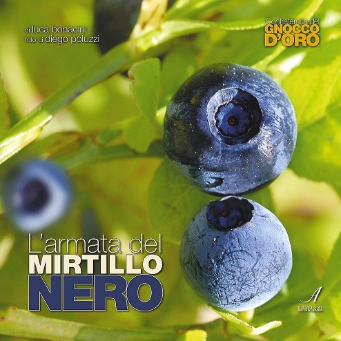 L'ARMATA DEL MIRTILLO NERO
