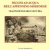 MULINI AD ACQUA DELL'APPENNINO MODENESE - I bacini di Panaro e Secchia - Ebook