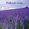 PROFONDO VIOLA