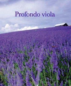PROFONDO VIOLA