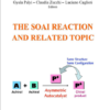 THE SOAI REACTION AND RELATED TOPIC
