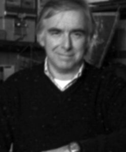 Alessandro Simonini