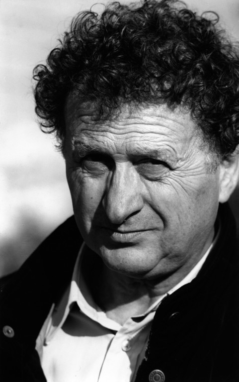 Enrico Manelli