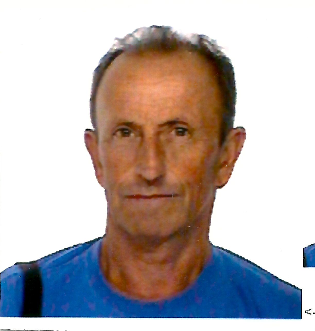 Maurizio Ferrari