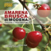 AMARENA BRUSCA di MODENA - tradizione e trasformazione