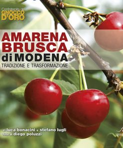 AMARENA BRUSCA di MODENA - tradizione e trasformazione