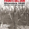 Fonte del Don, Riccardo Bulgarelli, Modena