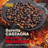 Sorella Castagna Fratello Marrone, Edizioni Artestampa, Luca Bonacini
