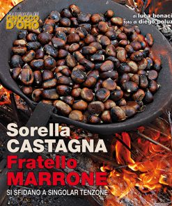 Sorella Castagna Fratello Marrone, Edizioni Artestampa, Luca Bonacini