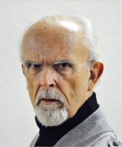 Luigi Gozzi, autore