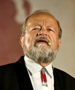 Alternative view of IL CAPOSTAZIONE