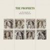 THE PROPHETS - on the façade of  Modena Cathedral