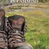IN CAMMINO - Sulle orme di Francesco da La Verna a Roma