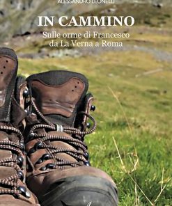 IN CAMMINO - Sulle orme di Francesco da La Verna a Roma