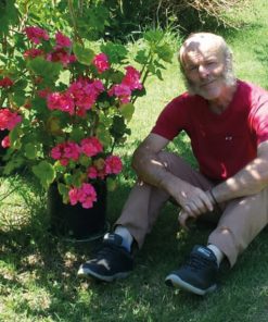 Alternative view of CAVRIL - La casa dagli scuri verdi