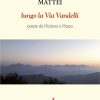 LUNGO LA VIA VANDELLI - ebook