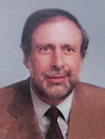IL GIOVANE DAVID - immagine 2