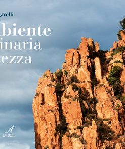 AMBIENTE ORDINARIA BELLEZZA