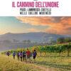 IL CAMMINO DELL'UNIONE - Paesi, lambrusco, castelli, nelle colline modenesi - CARTACEO