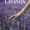 LAVANDA