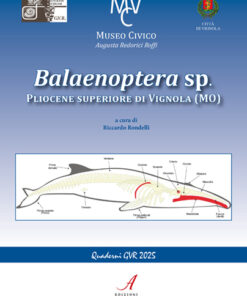 BALAENOPTERA SP.