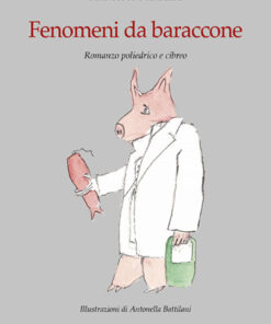 FENOMENI DA BARACCONE - Romanzo poliedrico e cibreo