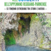 ALLE SORGENTI DELL'APPENNINO REGGIANO-PARMENSE - 12 itinerari di trekking tra storia e natura