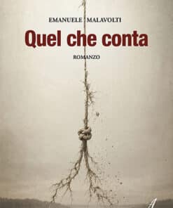 QUEL CHE CONTA - ROMANZO